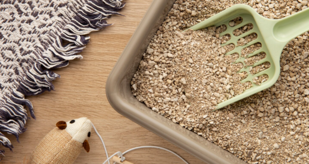 Proč kočka ignoruje kočičí záchod?